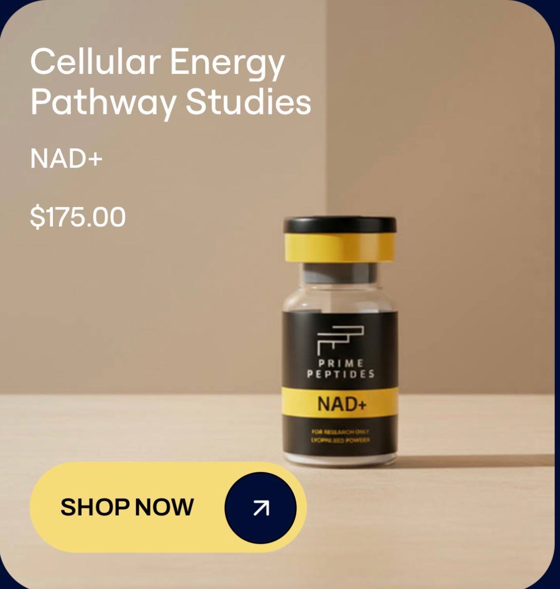 prime peptides,
prime peptide,
prime peptides calculator,
prime peptide calculator,
prime peptides,
estée lauder estee lauder futurist peptide power serum primer,
prime peptide calculator,
prime peptides calculator,
prime lab peptides,